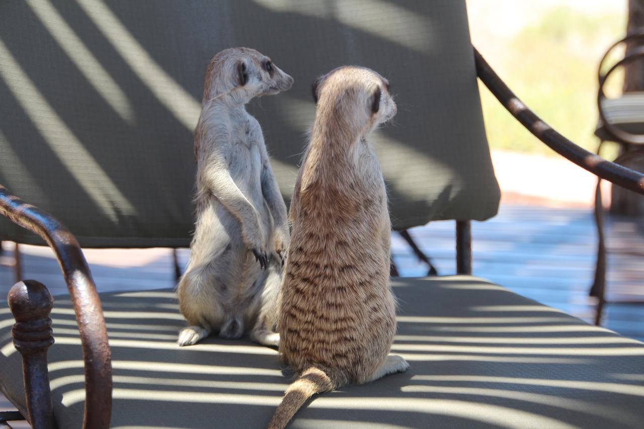 Kalahari Red Dunes Lodge Kalkrand Luaran gambar