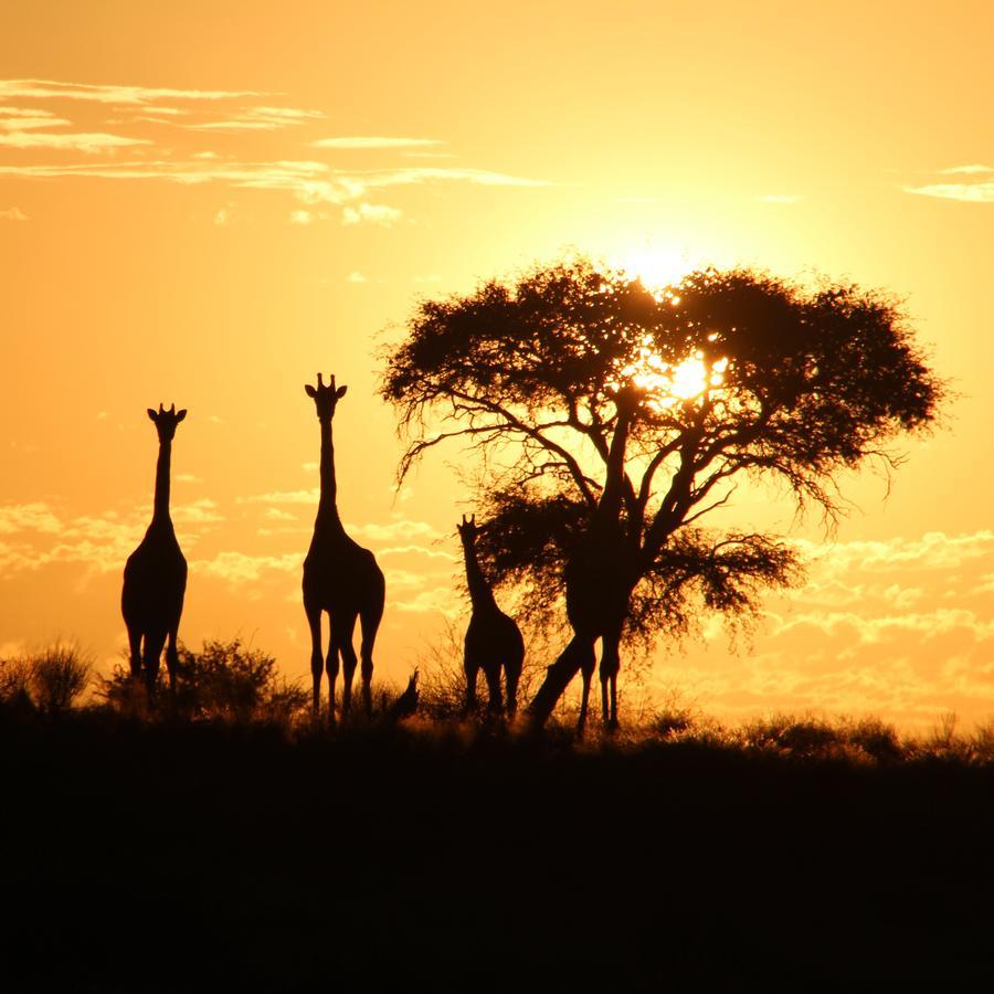 Kalahari Red Dunes Lodge Kalkrand Luaran gambar